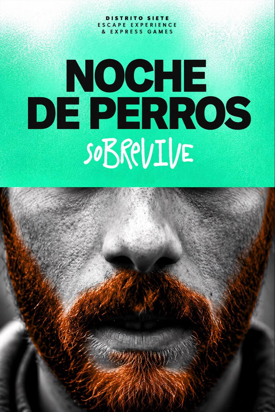 Cartel de Noche de Perros